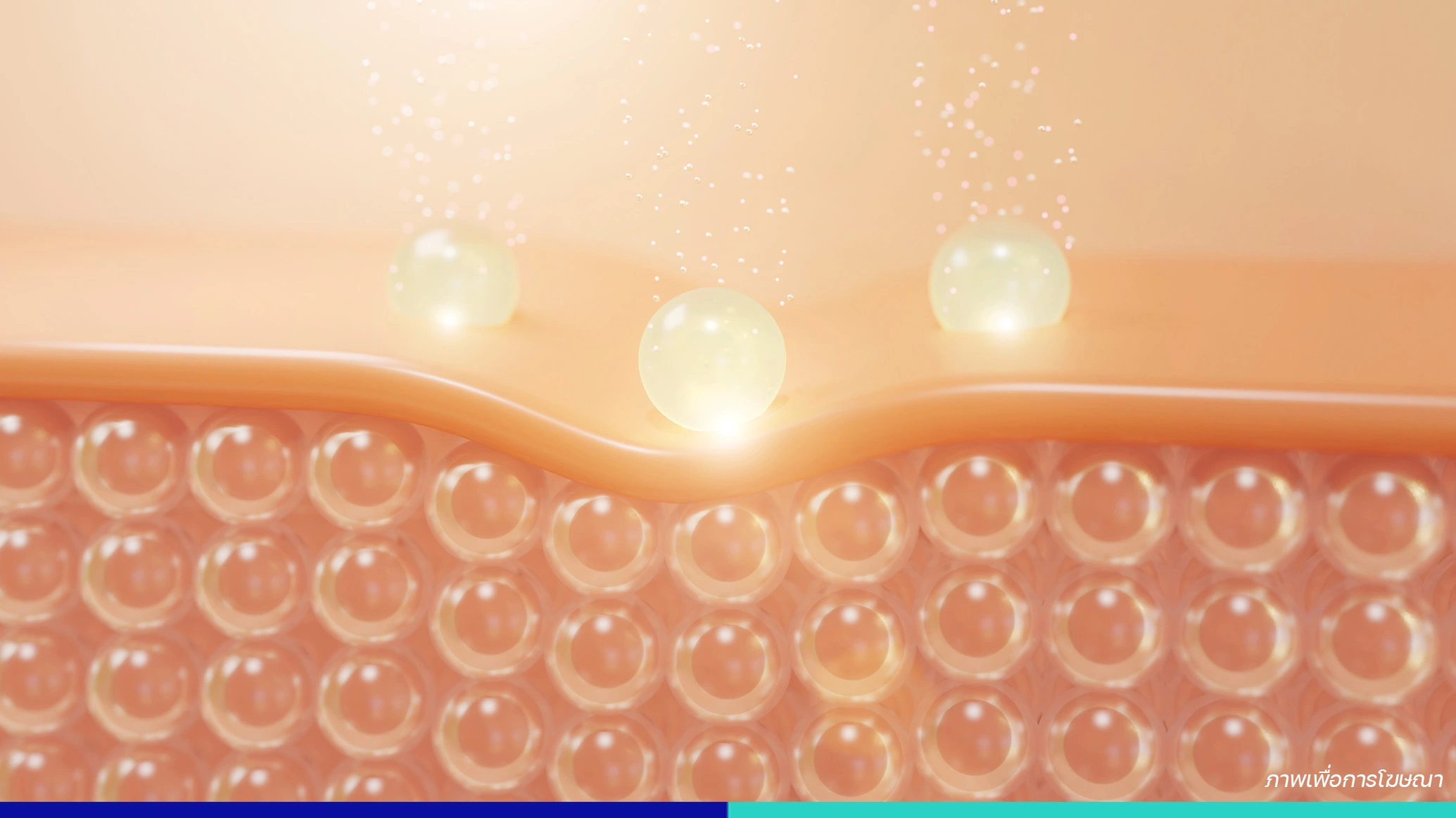 Bioregenerative Program รอยแผลเป็น