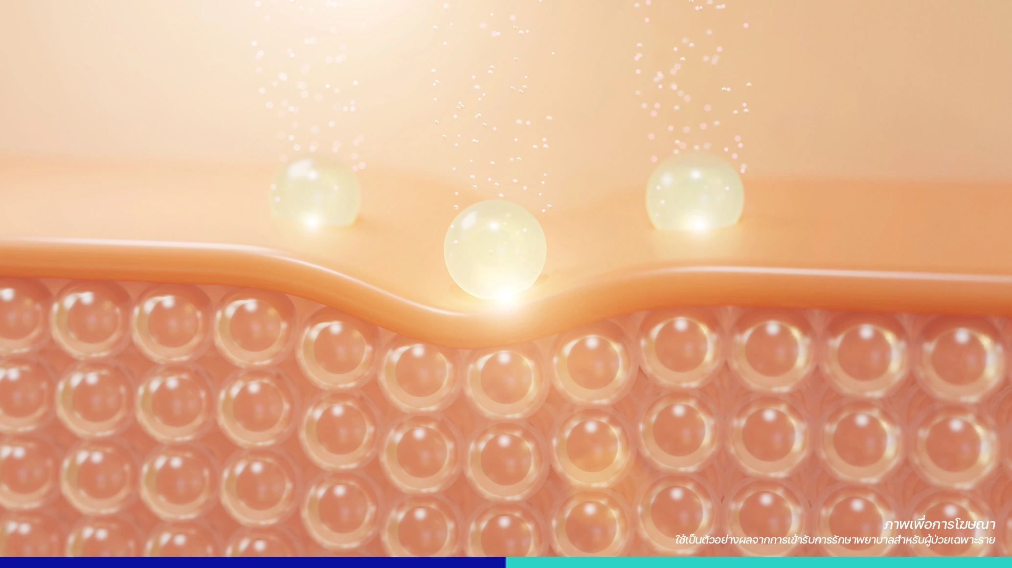 Bioregenerative Program รักษาฝ้า