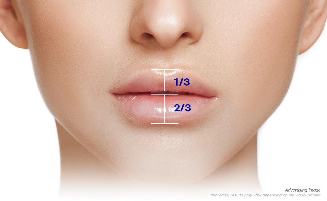 Fontal-View-Features-of-Ideal-Lips