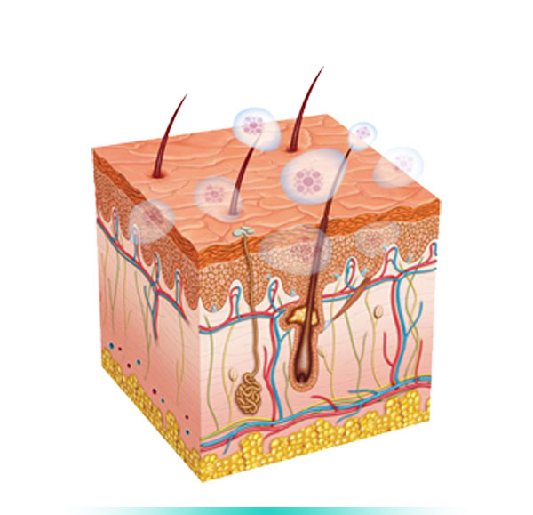 Steps in the Treatment of Sensitive Skin