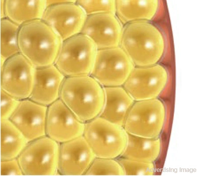 identify fat cells for coolshaping fat reduction fat freezing subcutaneous fat cryolipolysis targeting