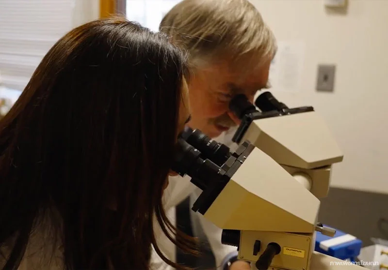 ทีมของ-Anderson-และ-Sakamoto