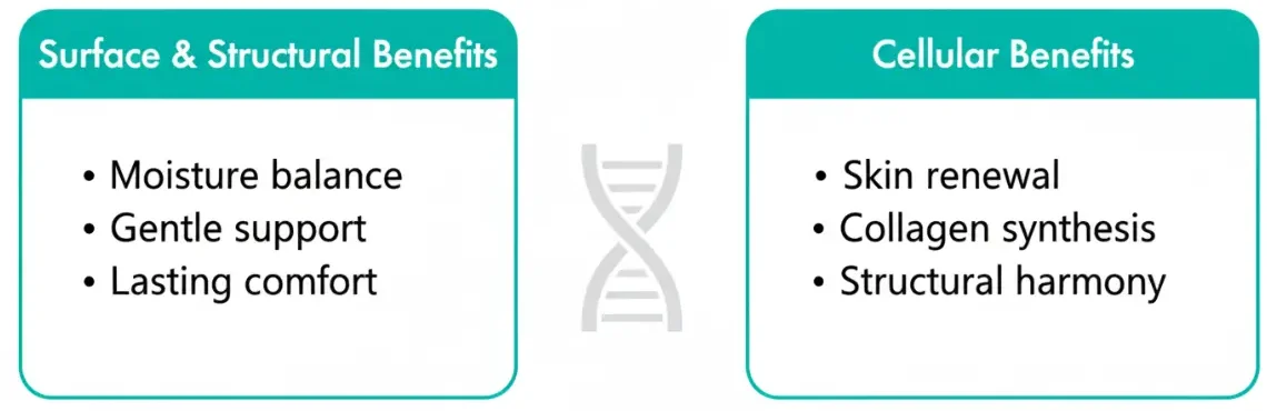 polynucleotide properties hydration collagen dermis regeneration rejuran bangkok price rejuran healer injection bangkok benefits of rejuran