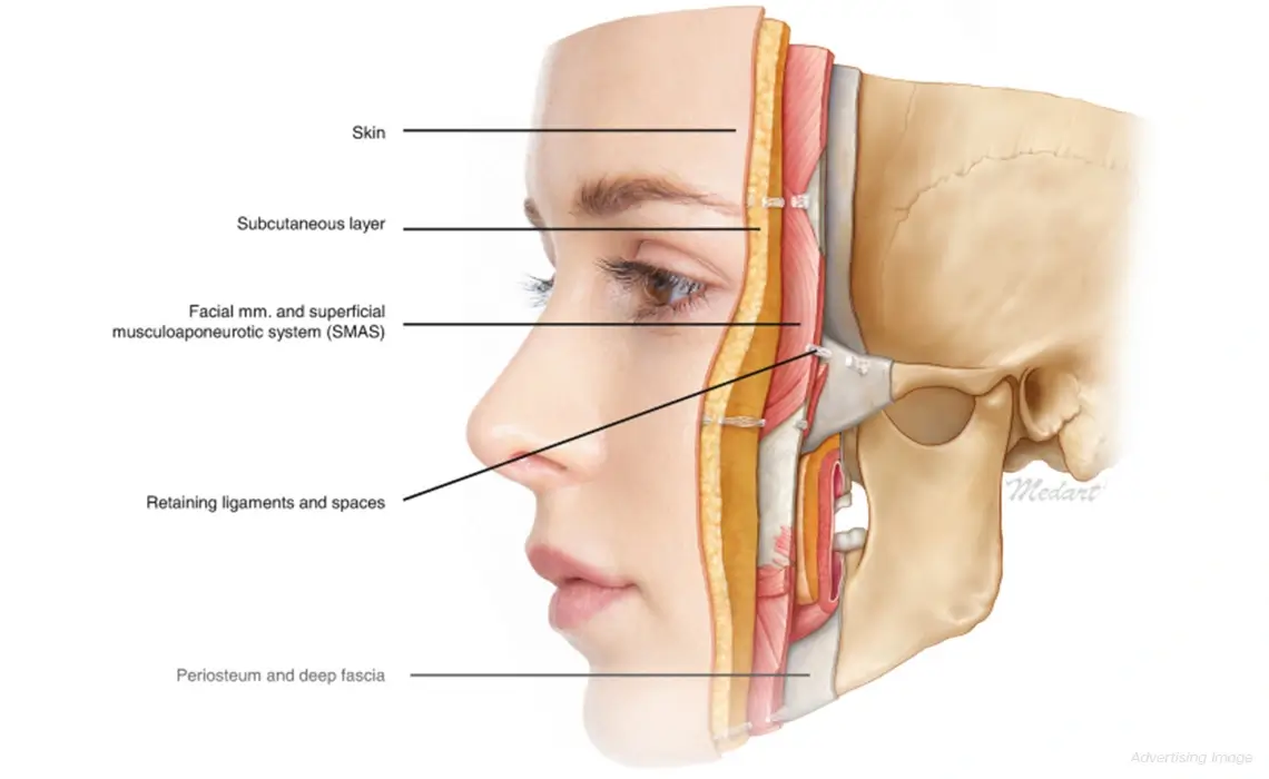 Facial ageing is not just about the skin.