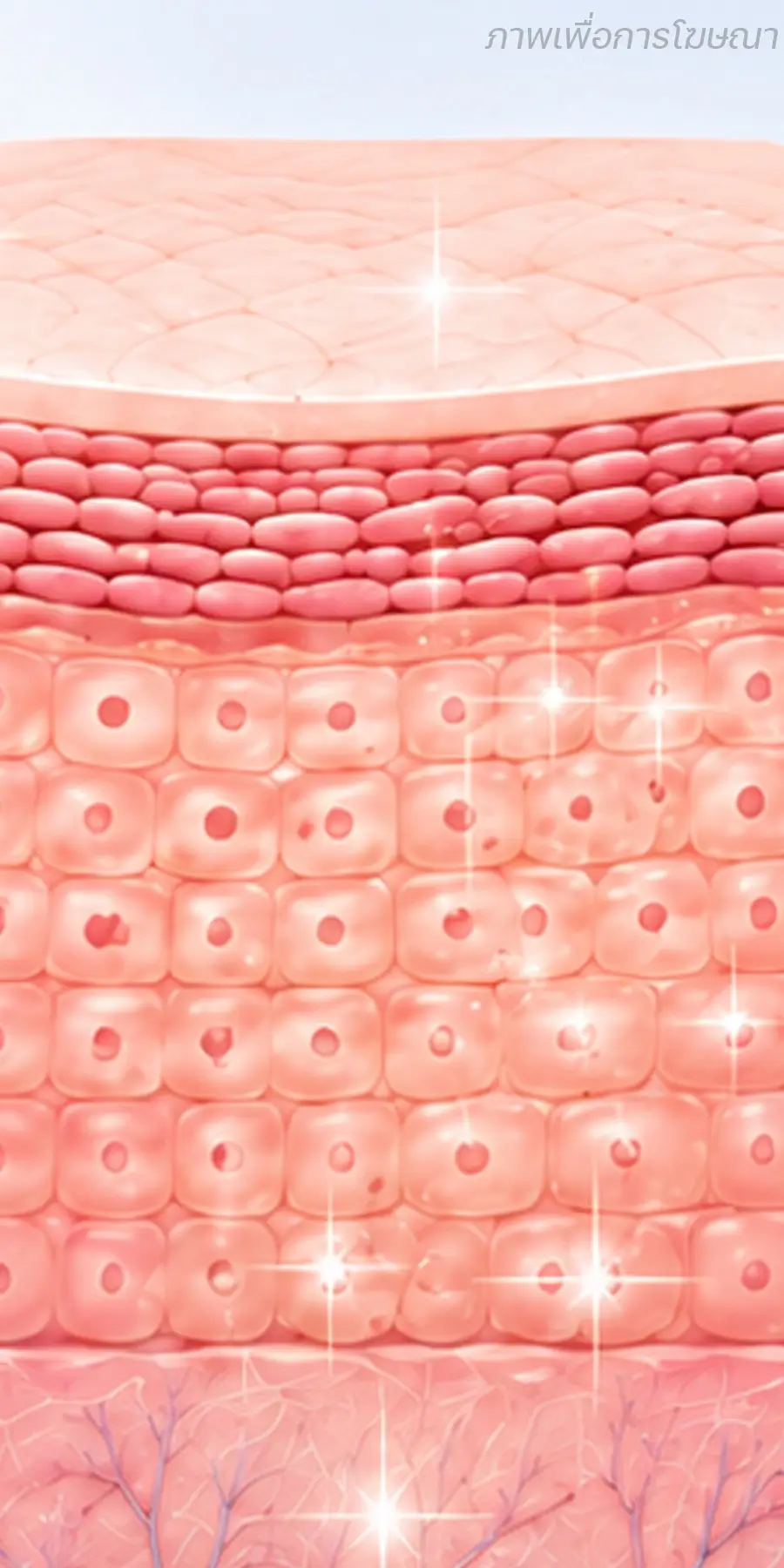 Pico Laser คืออะไร What Is Pico Laser
