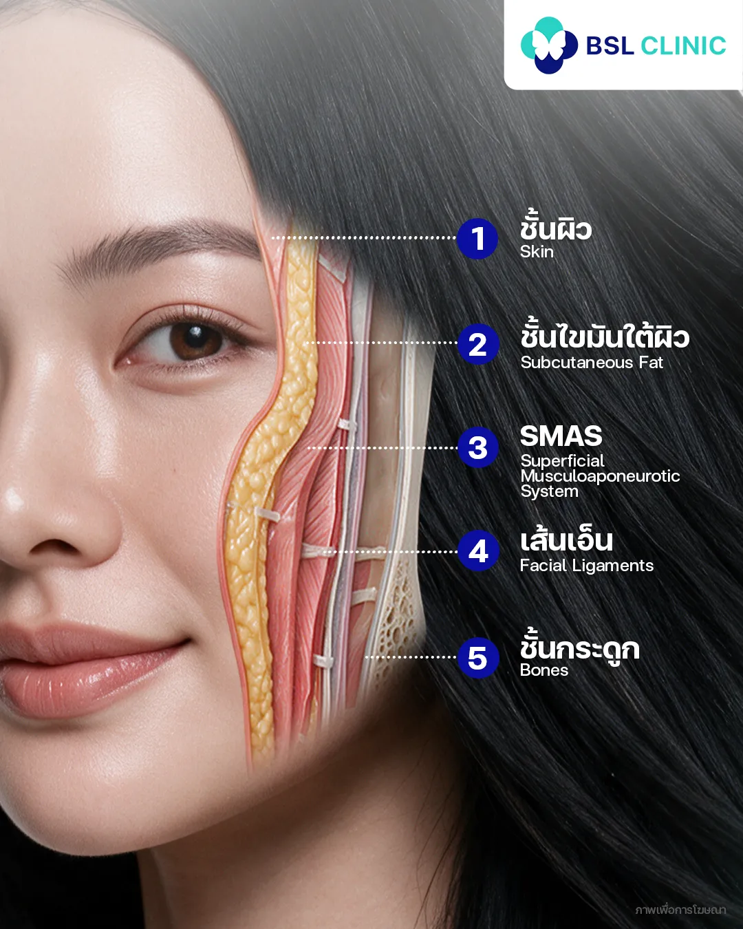 5 มิติ ใบหน้า