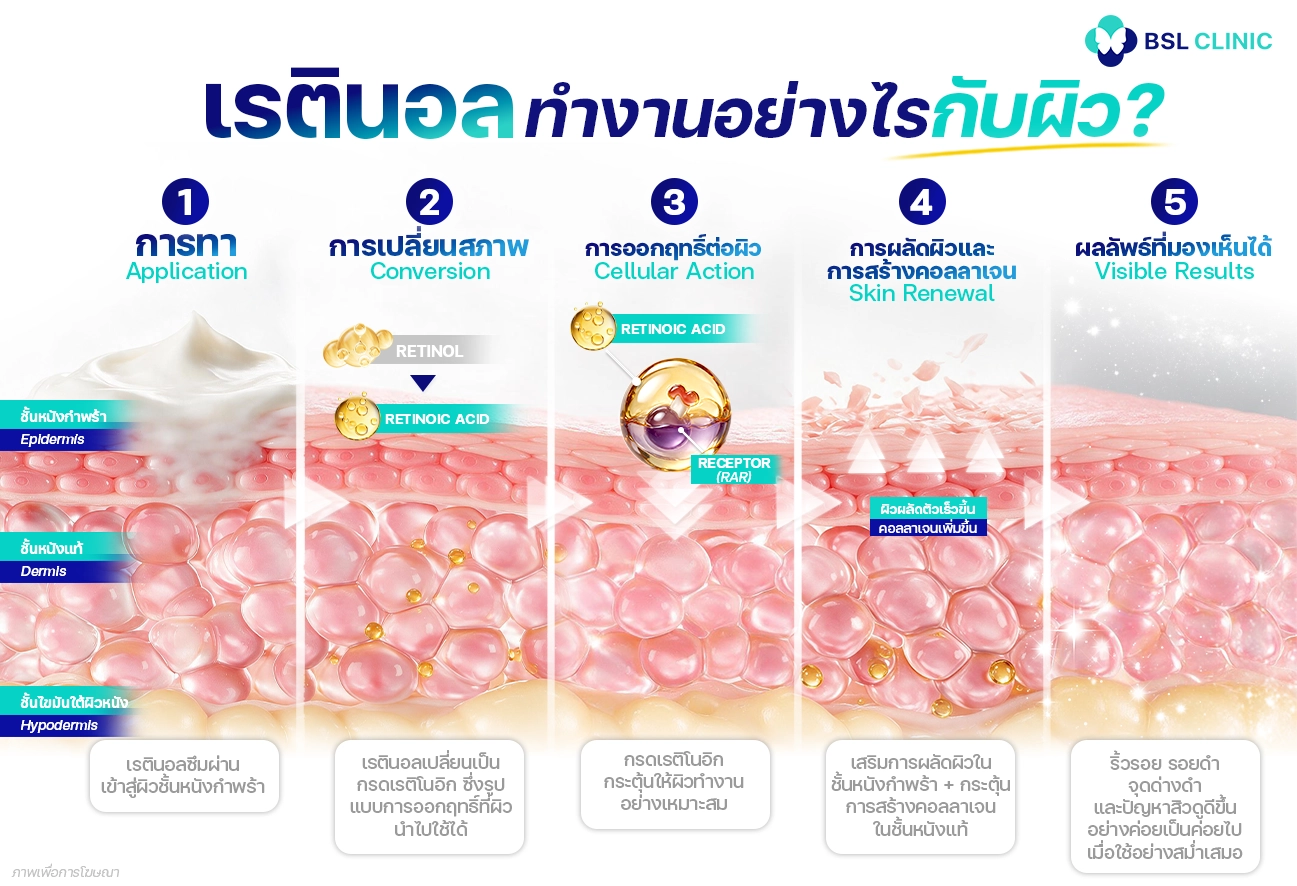 how retinol works กลไกการทำงานเรตินอล