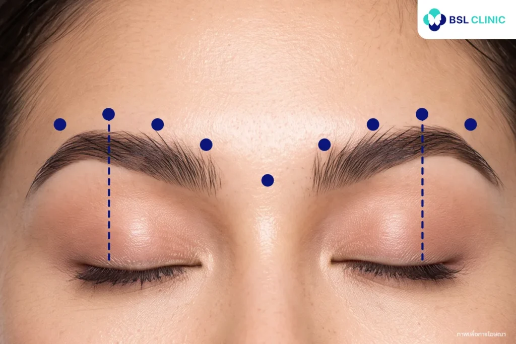 คิ้วสายฝอ (High-Arch Brow)